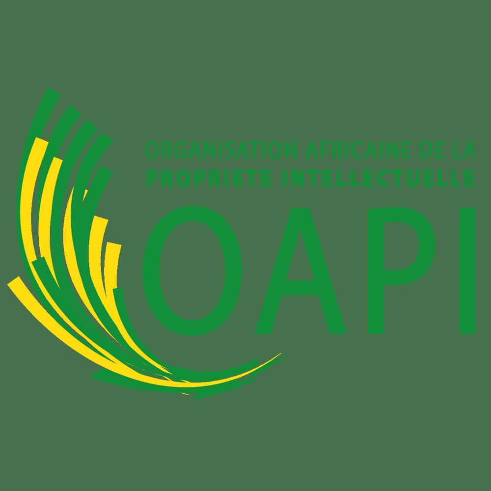 Le Brevet OAPI n° 18124 officialise notre innovation technologique